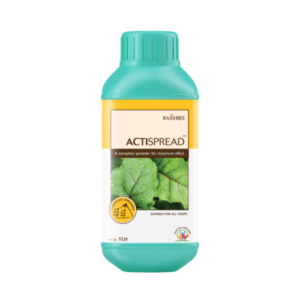 Actispread